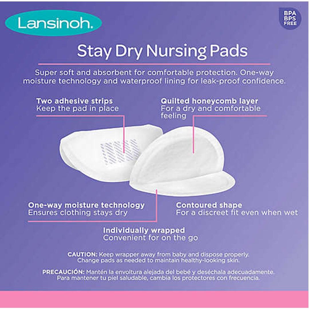 Absorvente Para Seios Stay Dry Lansinoh Com 100 Unidades - Lansinoh Babytunes