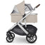 Moisés Infantil Uppababy Vista V2 & Cruz V2 Baby Declan - Uppababy Babytunes